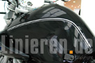 BMW R1150R Tank